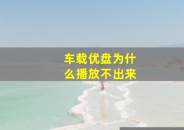 车载优盘为什么播放不出来