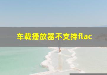 车载播放器不支持flac