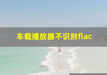 车载播放器不识别flac