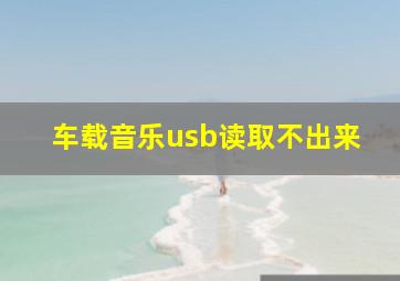 车载音乐usb读取不出来