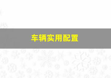 车辆实用配置