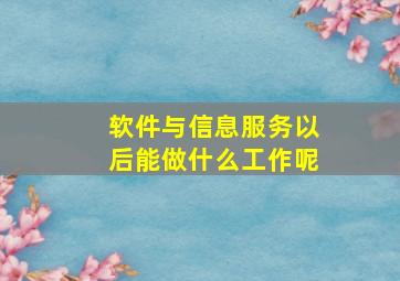 软件与信息服务以后能做什么工作呢