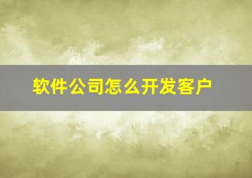 软件公司怎么开发客户