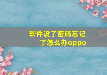 软件设了密码忘记了怎么办oppo