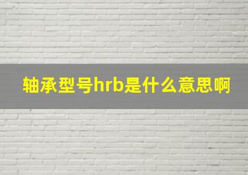 轴承型号hrb是什么意思啊