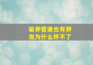 输卵管通也有卵泡为什么怀不了