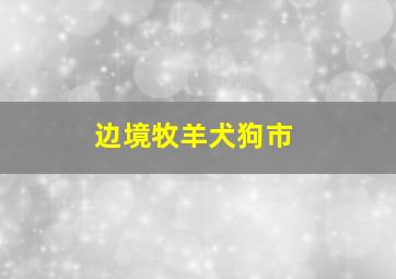 边境牧羊犬狗市