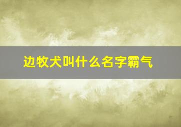 边牧犬叫什么名字霸气