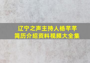 辽宁之声主持人杨芊芊简历介绍资料视频大全集