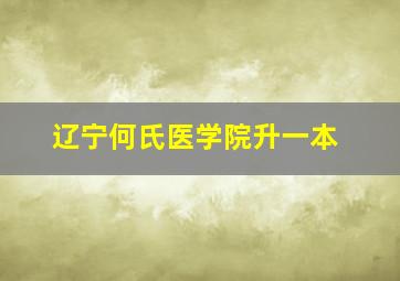 辽宁何氏医学院升一本