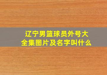 辽宁男篮球员外号大全集图片及名字叫什么