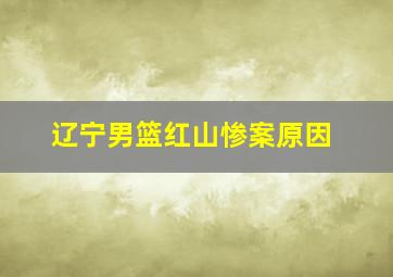 辽宁男篮红山惨案原因