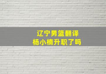 辽宁男篮翻译杨小楠升职了吗