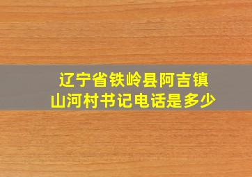 辽宁省铁岭县阿吉镇山河村书记电话是多少