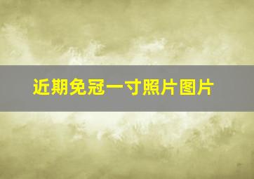 近期免冠一寸照片图片