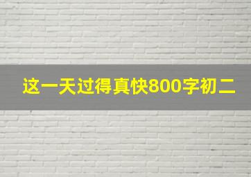 这一天过得真快800字初二