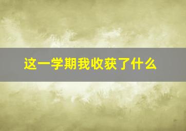 这一学期我收获了什么