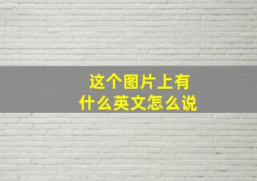 这个图片上有什么英文怎么说