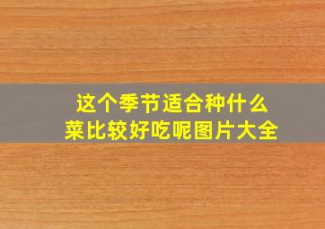 这个季节适合种什么菜比较好吃呢图片大全