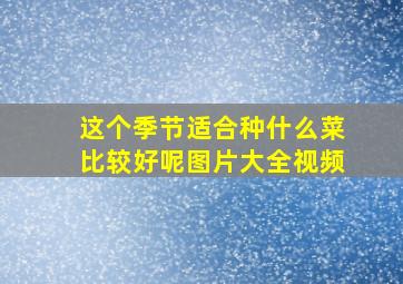 这个季节适合种什么菜比较好呢图片大全视频