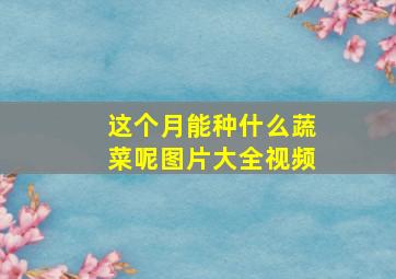 这个月能种什么蔬菜呢图片大全视频