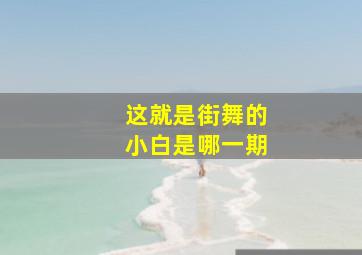 这就是街舞的小白是哪一期