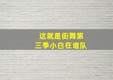 这就是街舞第三季小白在谁队