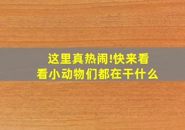 这里真热闹!快来看看小动物们都在干什么