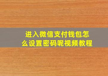 进入微信支付钱包怎么设置密码呢视频教程