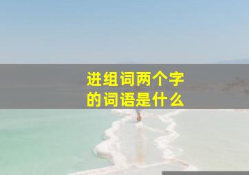 进组词两个字的词语是什么