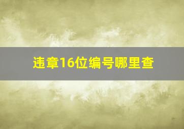 违章16位编号哪里查