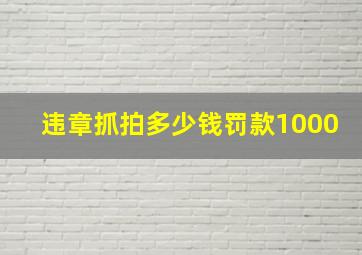 违章抓拍多少钱罚款1000