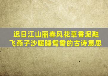 迟日江山丽春风花草香泥融飞燕子沙暖睡鸳鸯的古诗意思