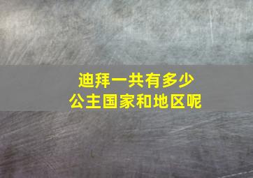 迪拜一共有多少公主国家和地区呢