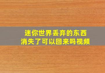 迷你世界丢弃的东西消失了可以回来吗视频