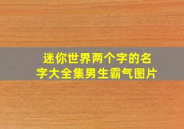 迷你世界两个字的名字大全集男生霸气图片