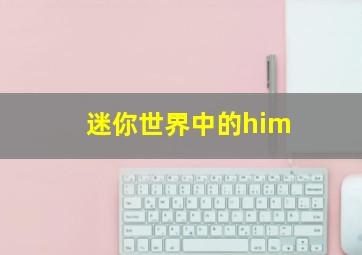 迷你世界中的him