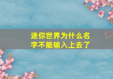 迷你世界为什么名字不能输入上去了