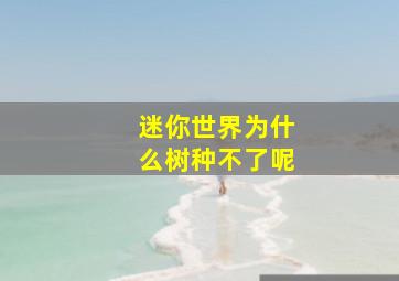 迷你世界为什么树种不了呢