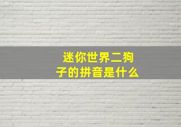 迷你世界二狗子的拼音是什么