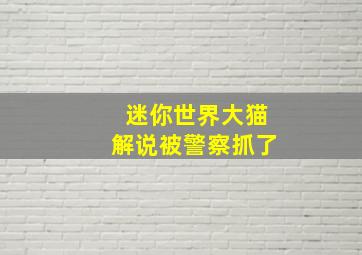 迷你世界大猫解说被警察抓了