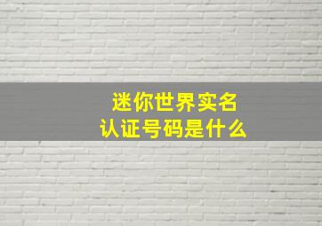 迷你世界实名认证号码是什么