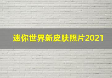 迷你世界新皮肤照片2021