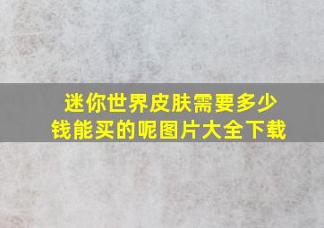 迷你世界皮肤需要多少钱能买的呢图片大全下载