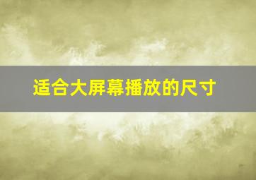 适合大屏幕播放的尺寸