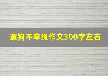 遛狗不牵绳作文300字左右