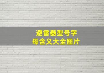 避雷器型号字母含义大全图片