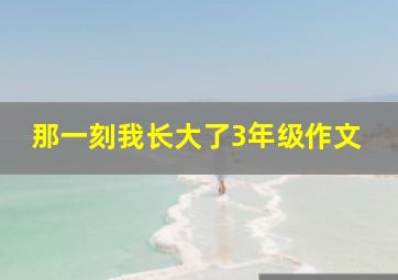 那一刻我长大了3年级作文