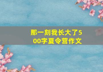 那一刻我长大了500字夏令营作文