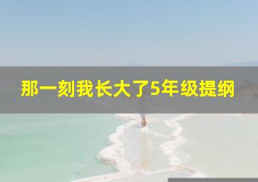 那一刻我长大了5年级提纲